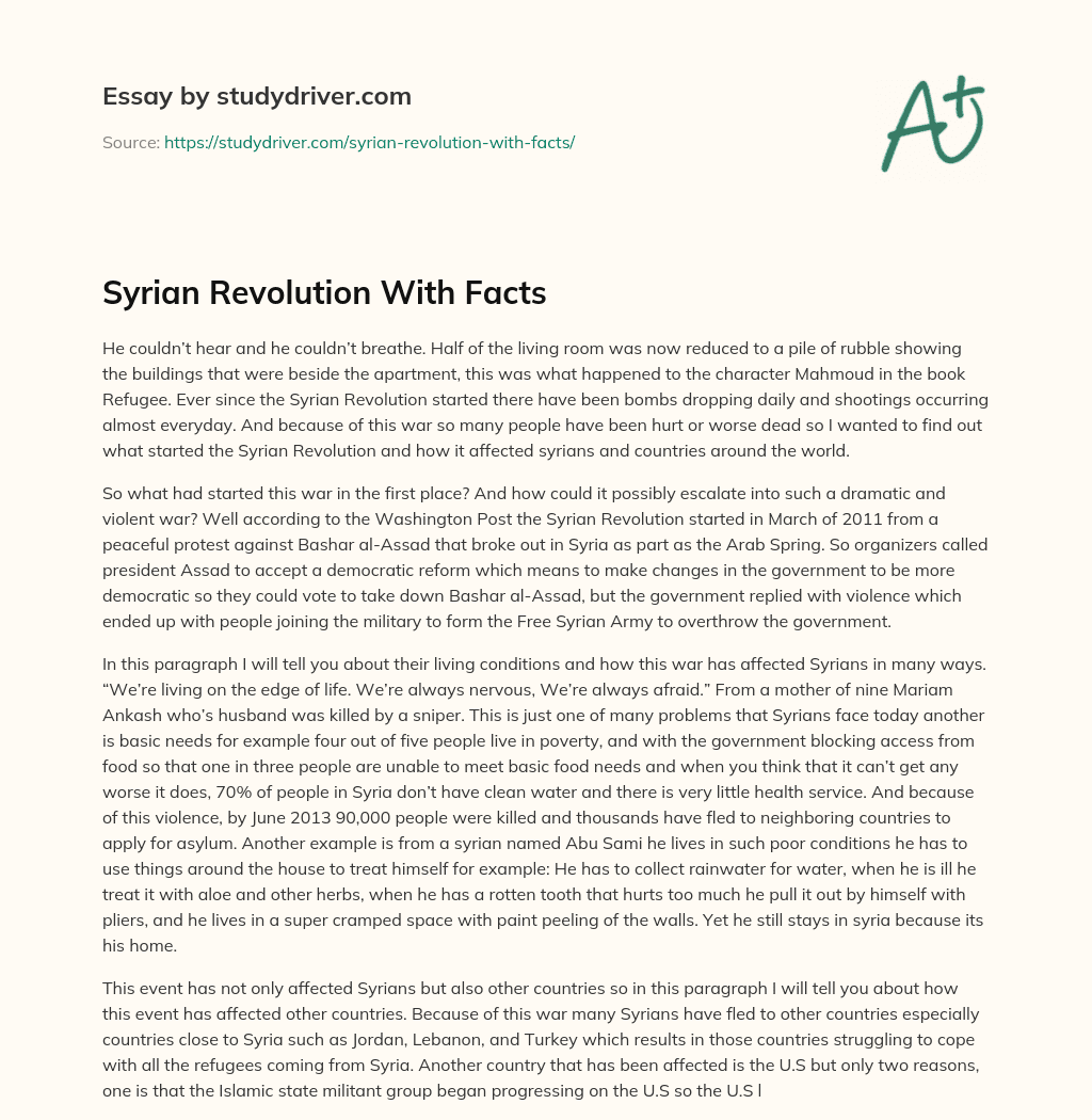 Syrian Revolution With Facts essay