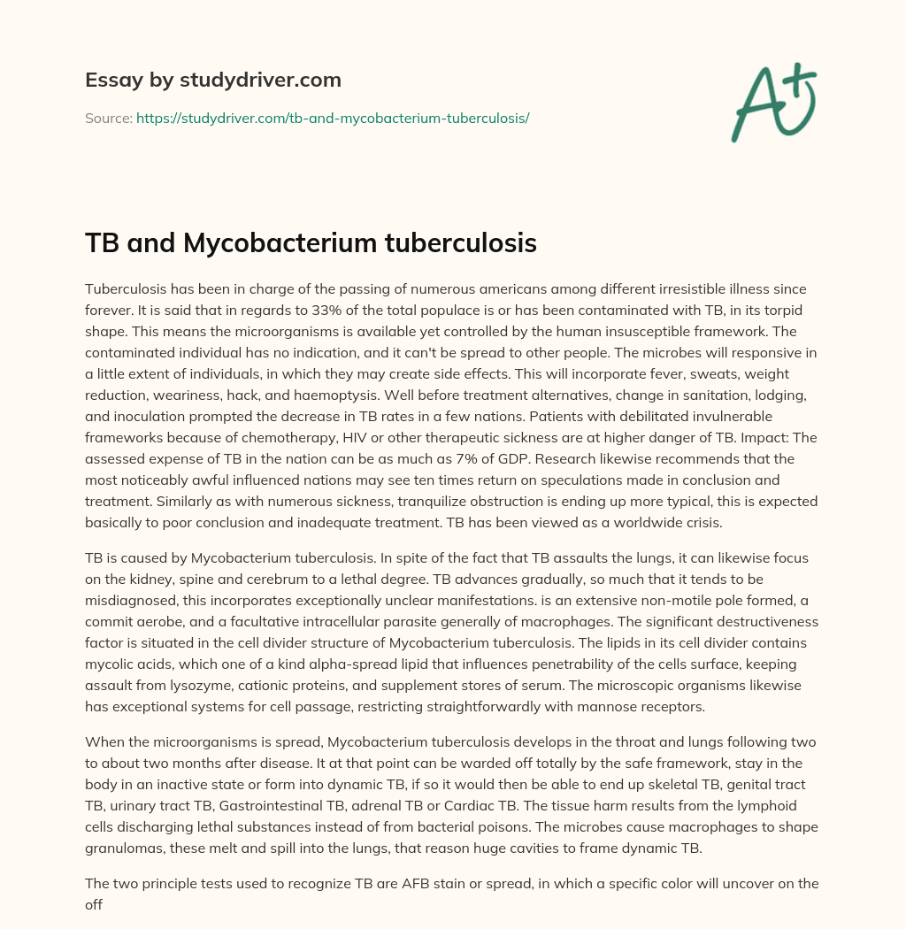TB and Mycobacterium Tuberculosis essay