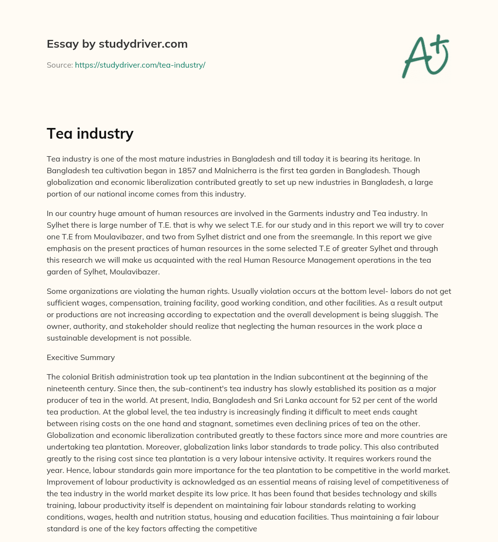 Tea Industry essay