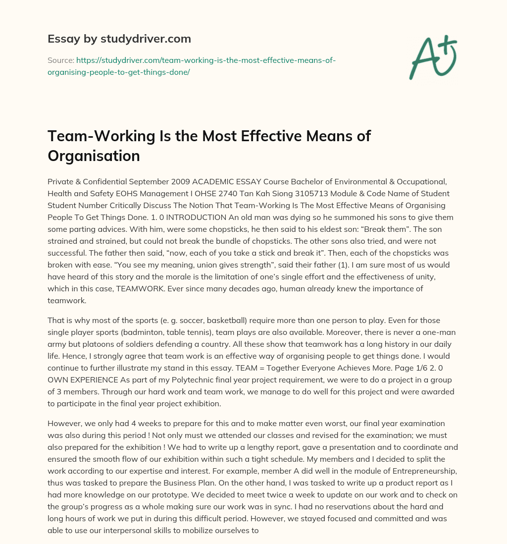 Team-Working is the most Effective Means of Organisation essay