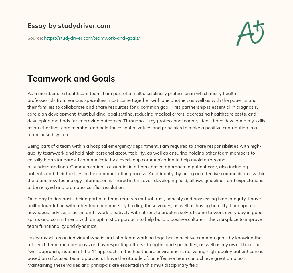 Teamwork and Goals essay