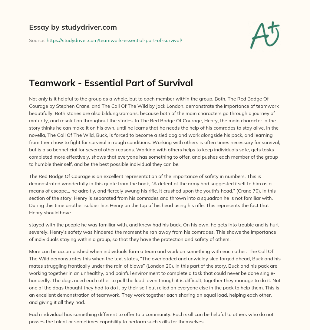 Teamwork – Essential Part of Survival essay