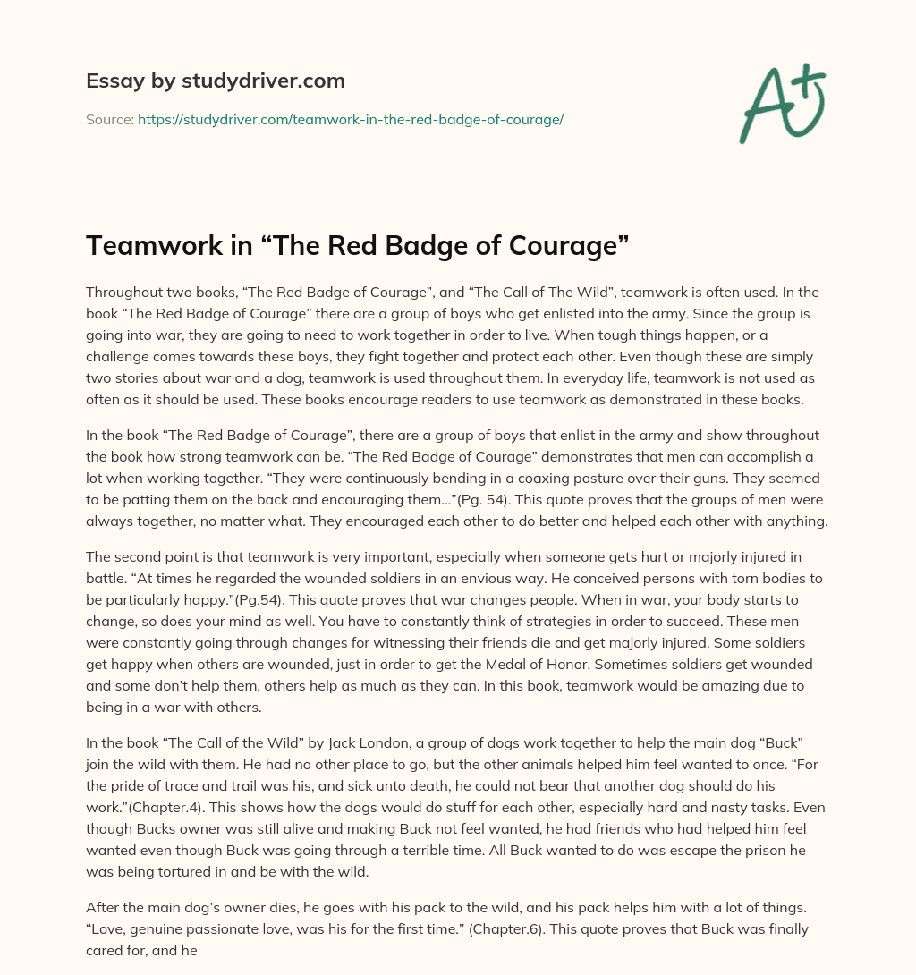Teamwork in “The Red Badge of Courage” essay