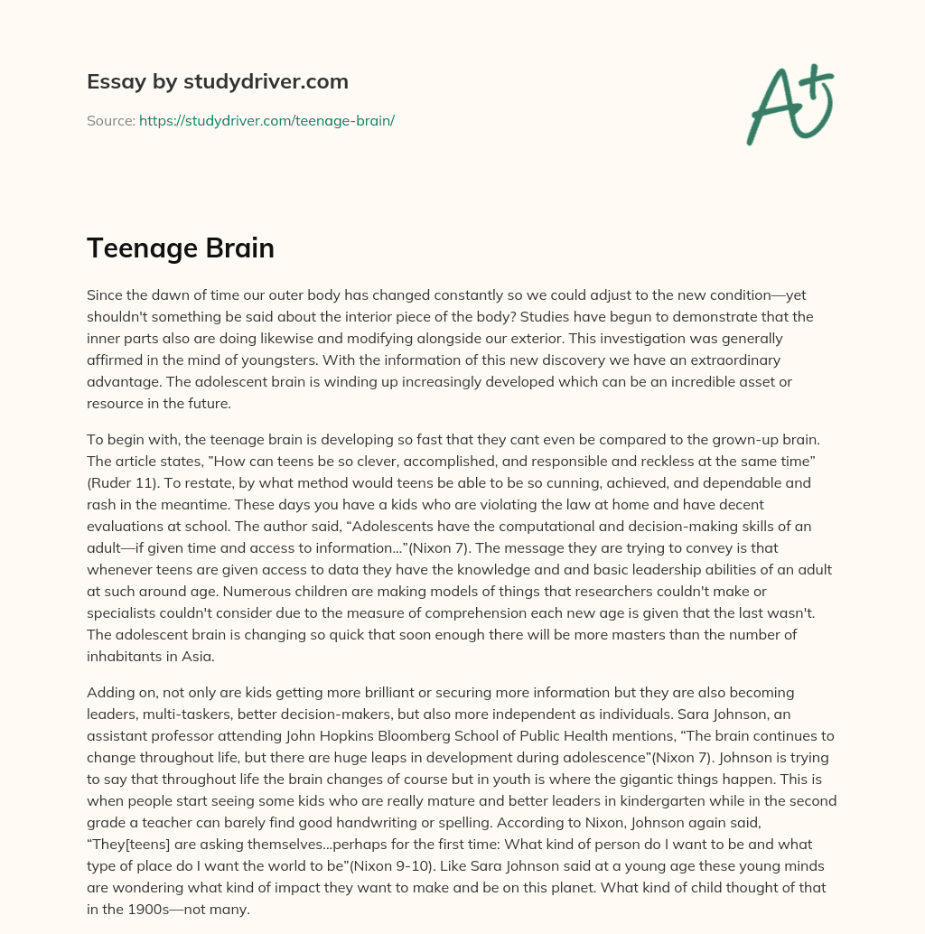 Teenage Brain essay