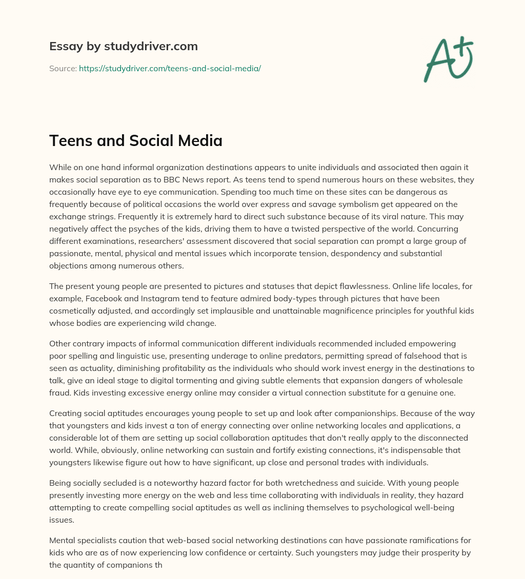 Teens and Social Media essay