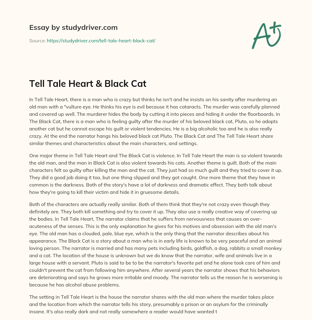Tell Tale Heart & Black Cat essay