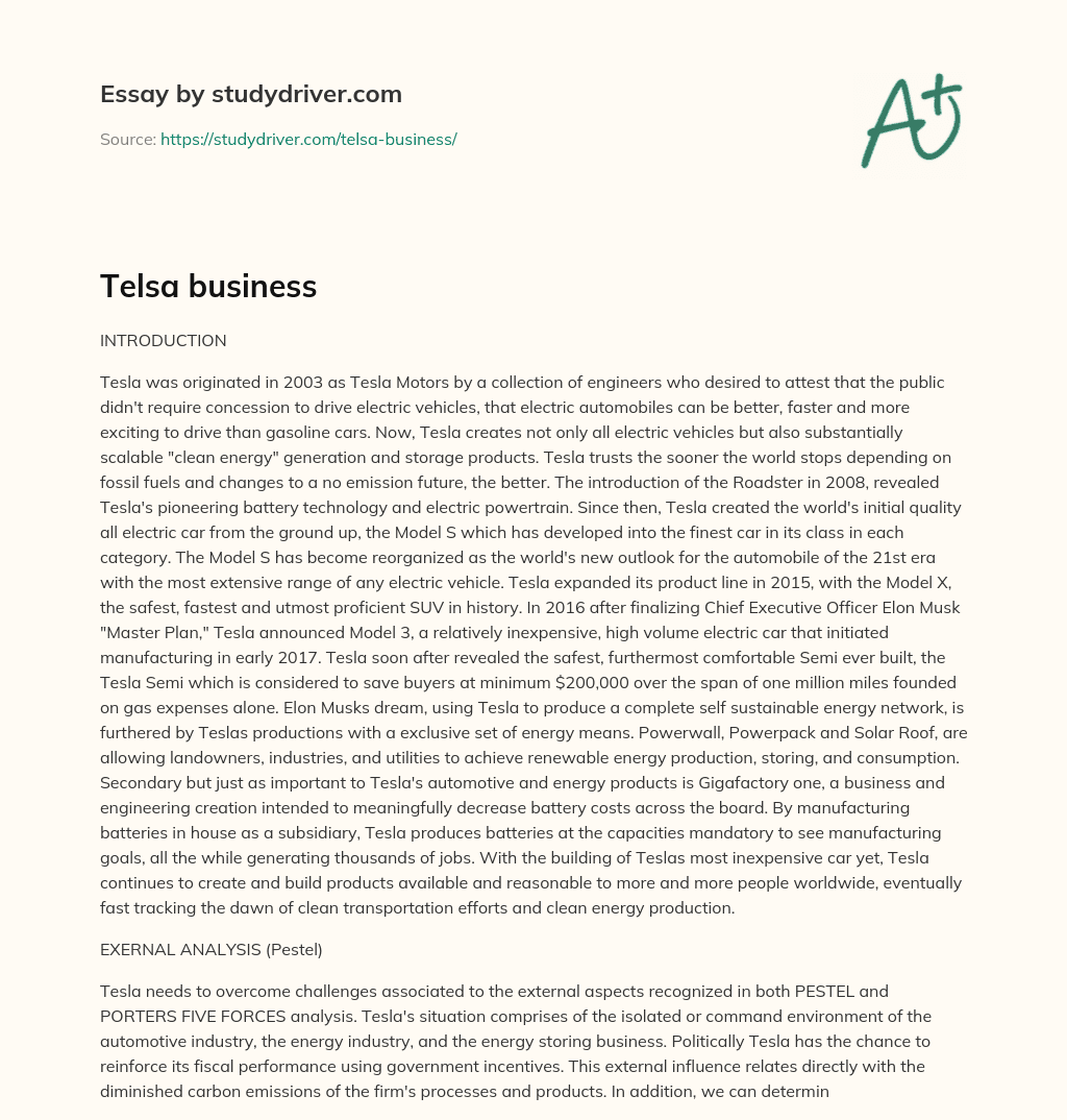 Telsa Business essay