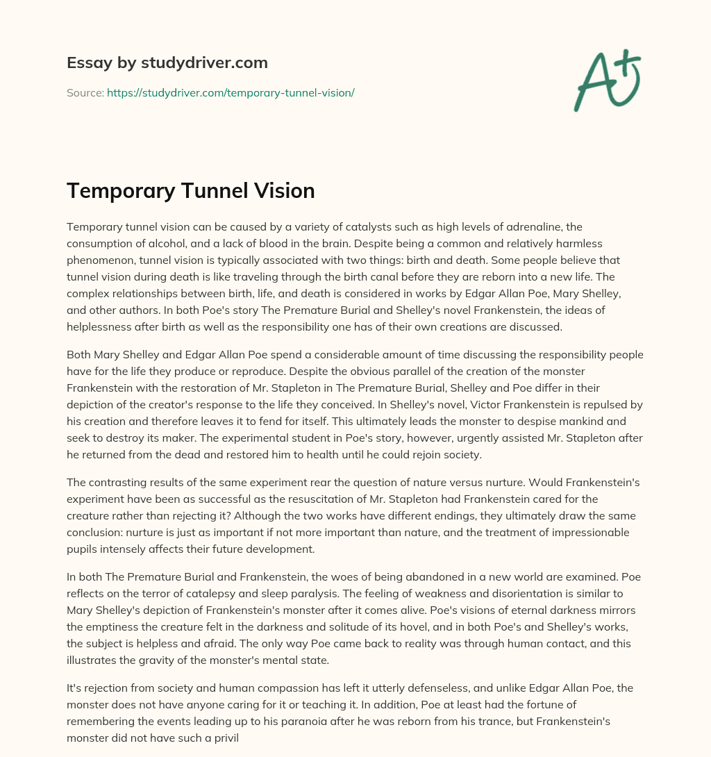 Temporary Tunnel Vision essay