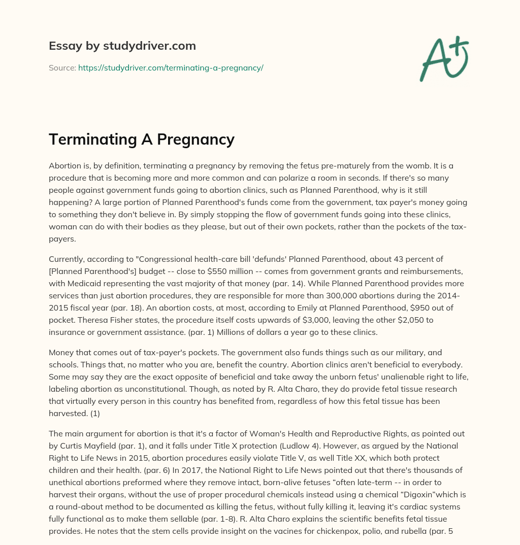 Terminating a Pregnancy essay