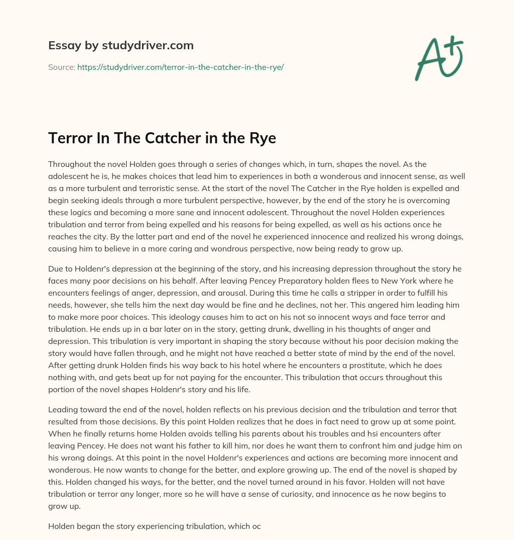 Terror in the Catcher in the Rye essay