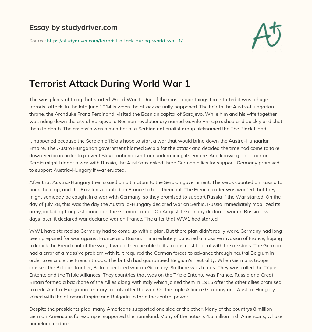Terrorist Attack during World War 1 essay