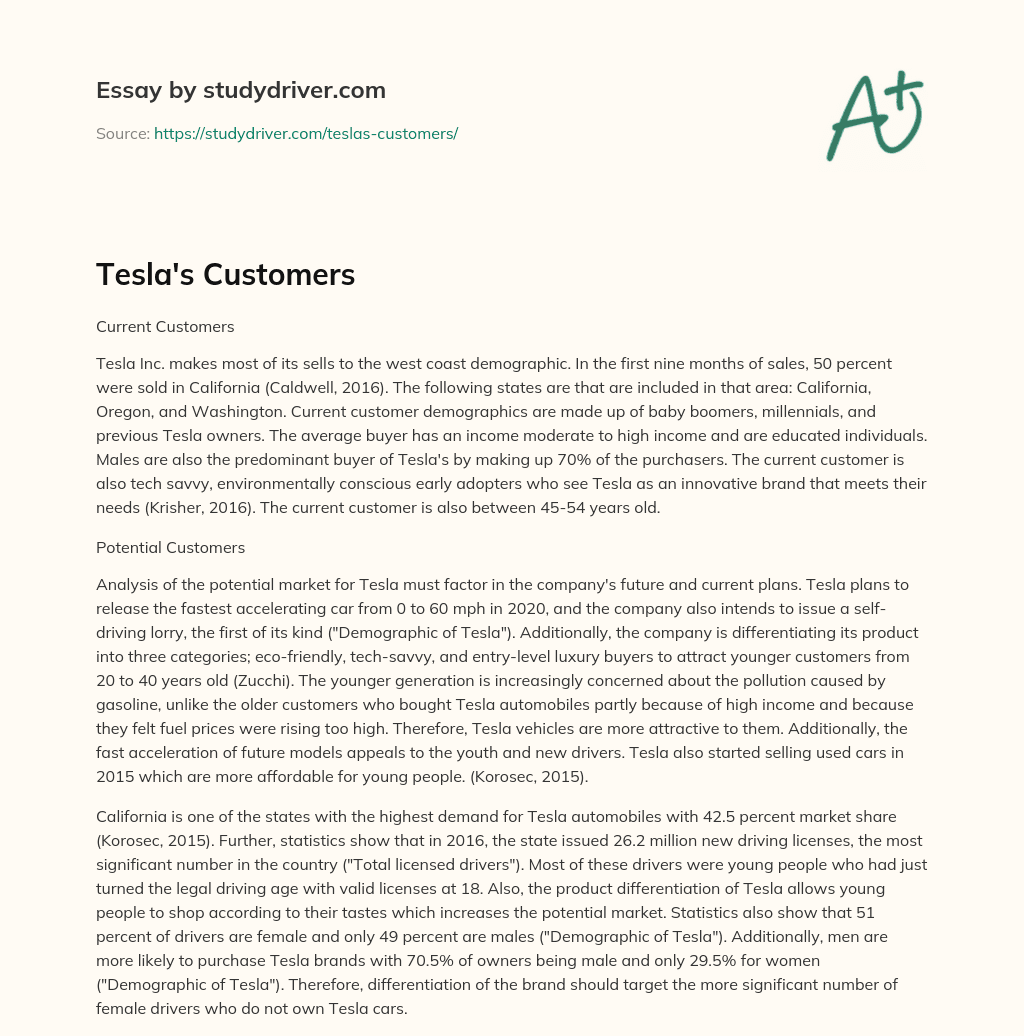Tesla’s Customers essay