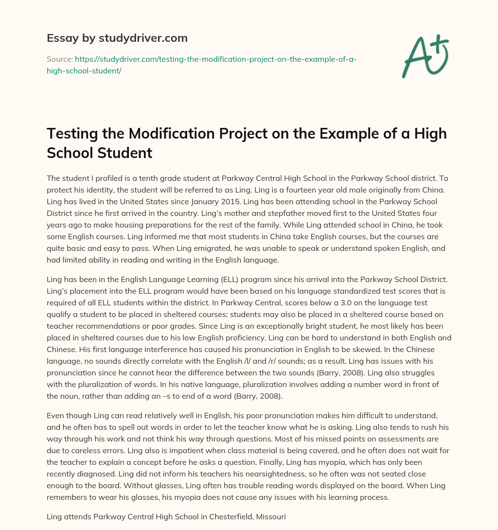 Testing the Modification Project on the Example of a High School Student essay