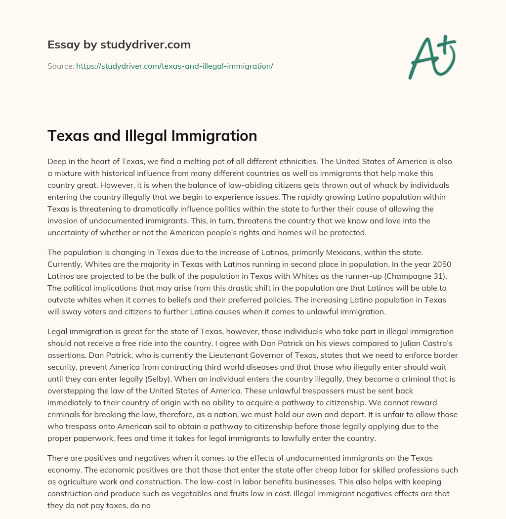 Texas and Illegal Immigration essay