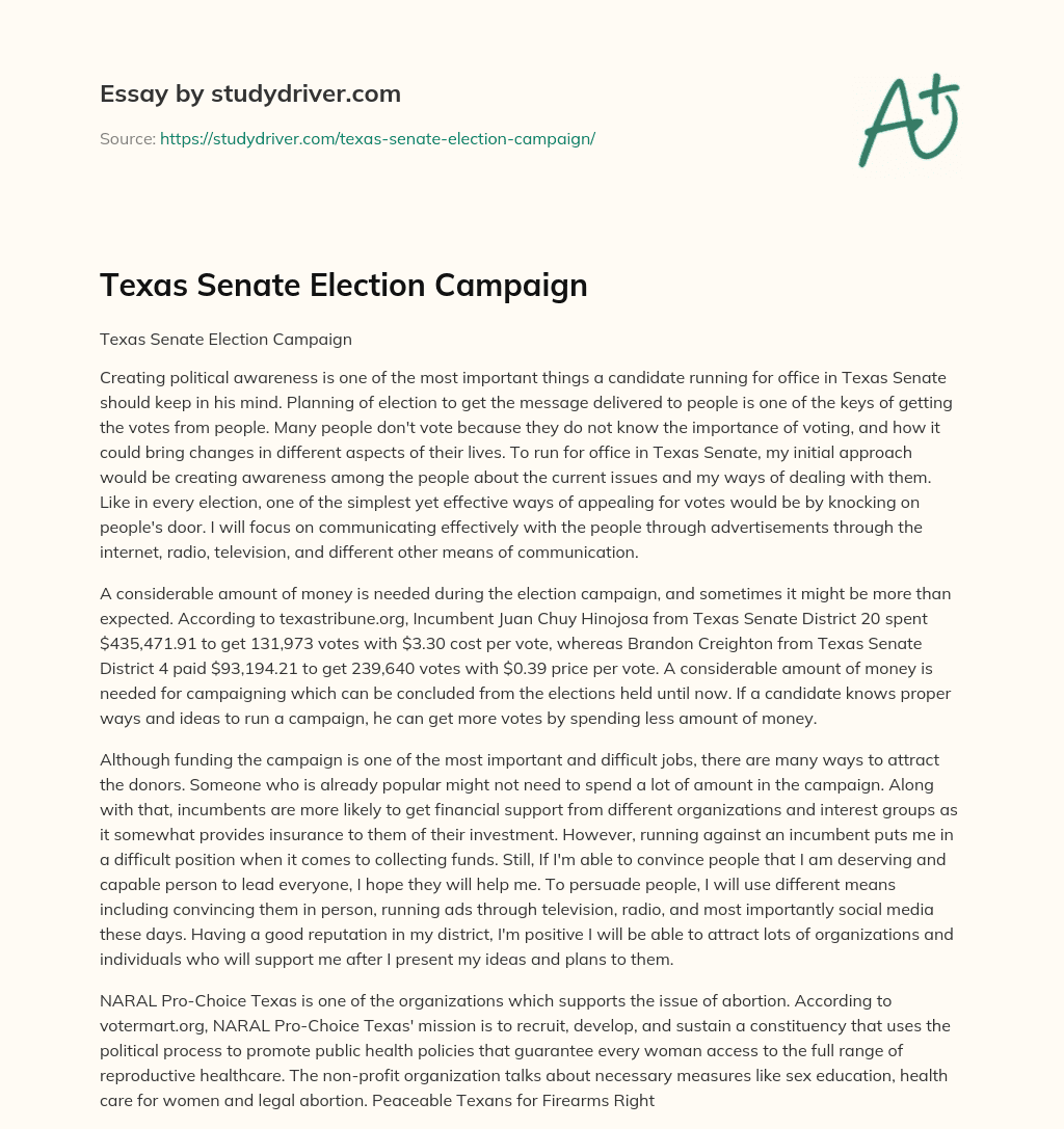 Texas Senate Election Campaign essay