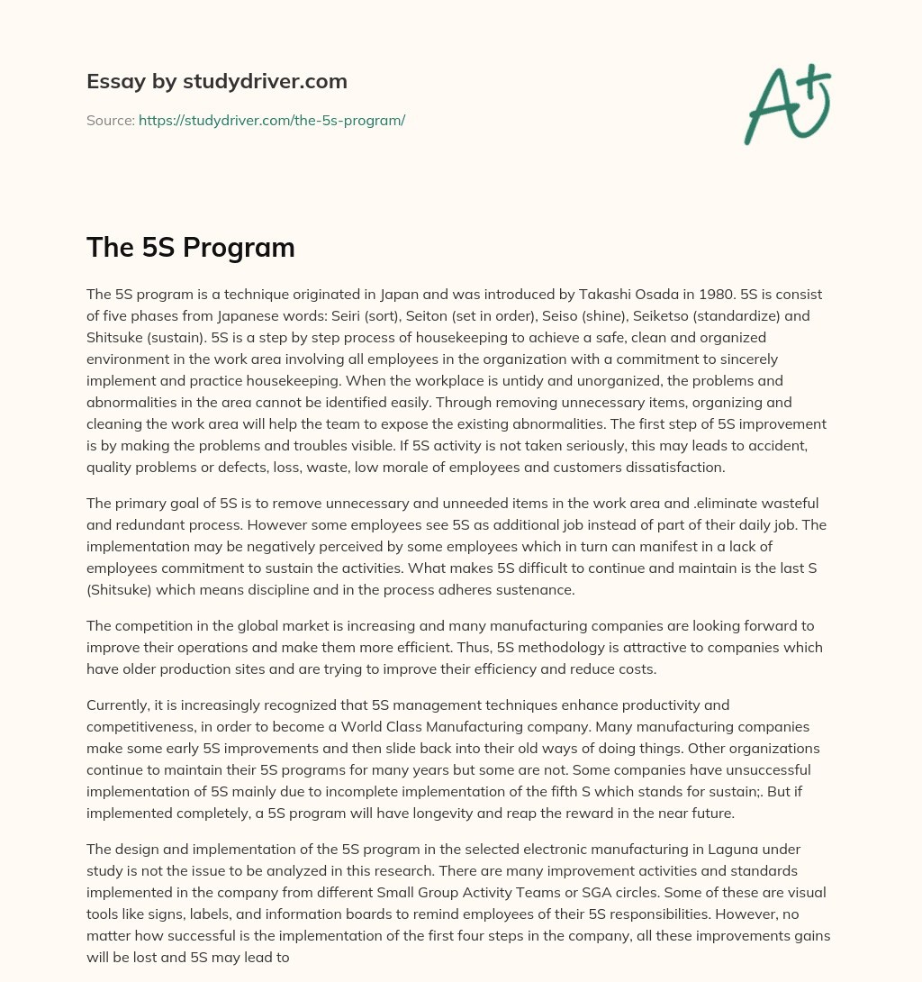 The 5S Program essay