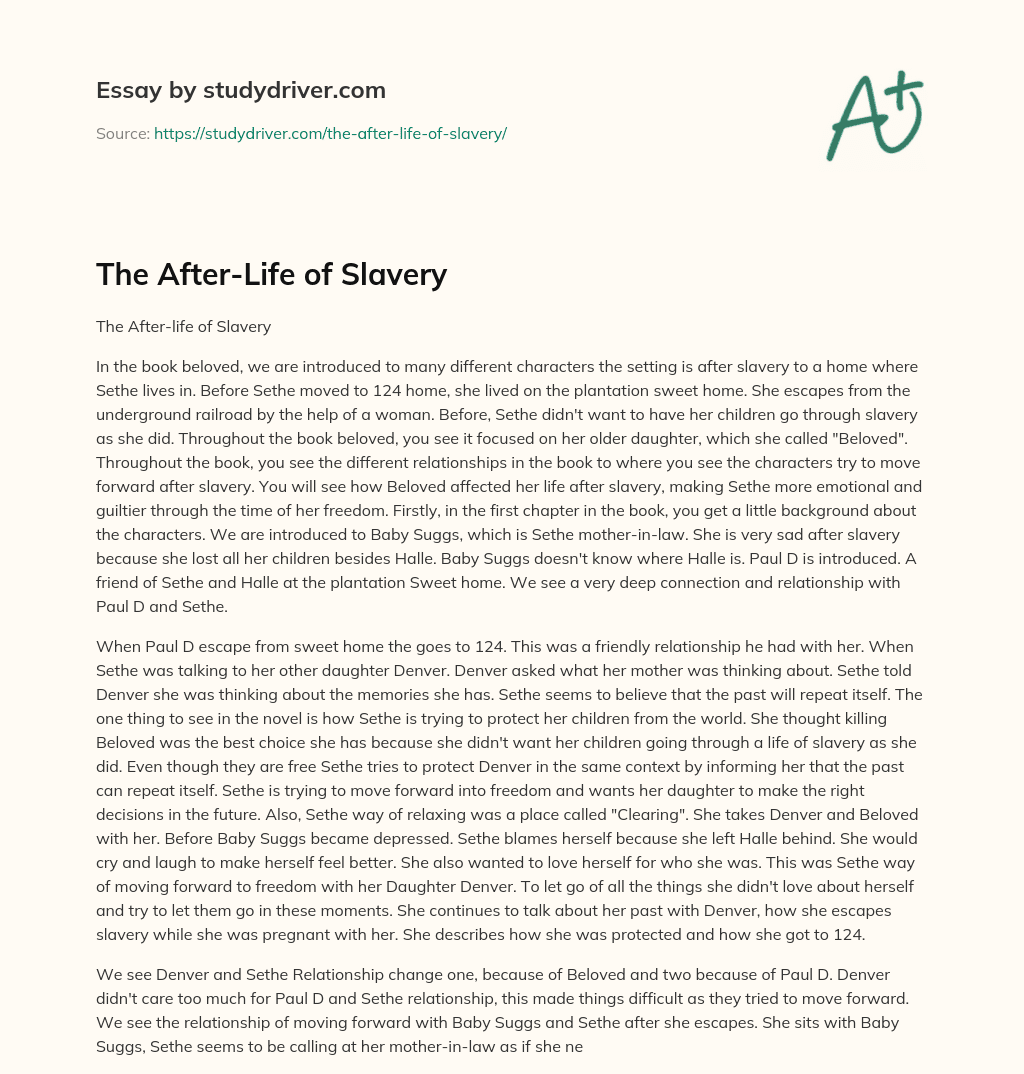 The After-Life of Slavery essay
