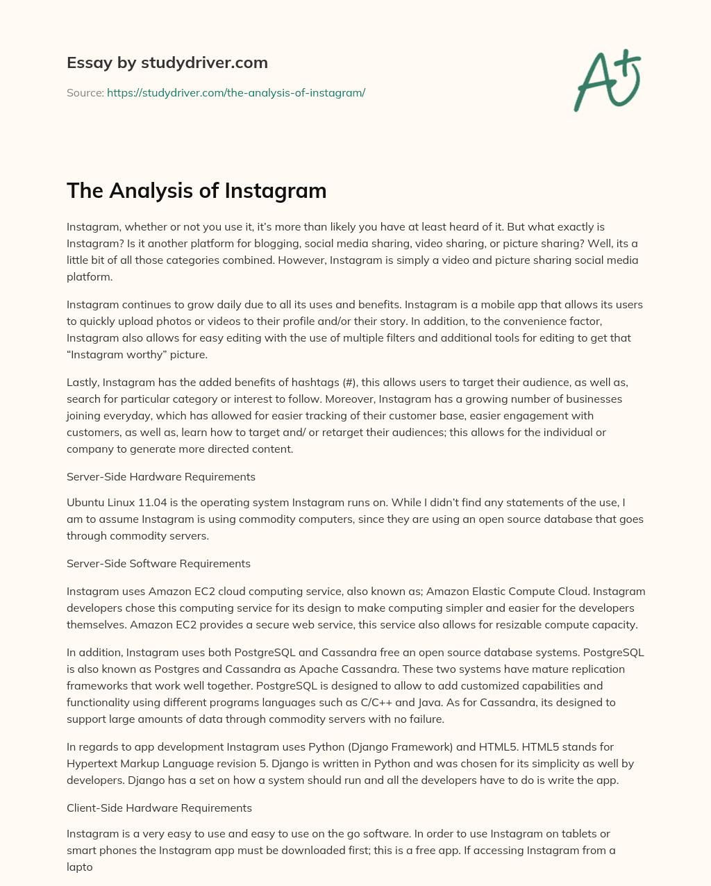 The Analysis of Instagram essay