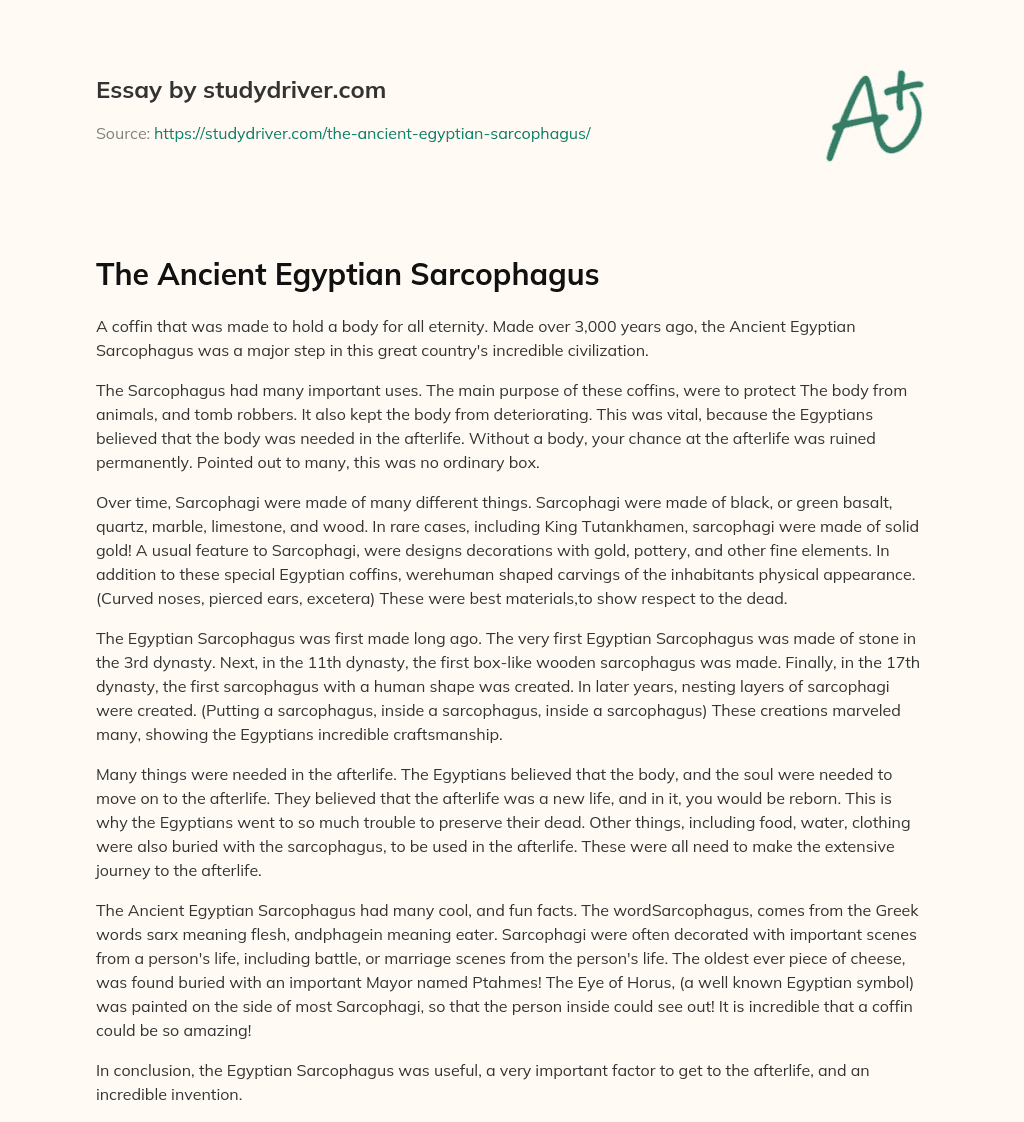 The Ancient Egyptian Sarcophagus essay