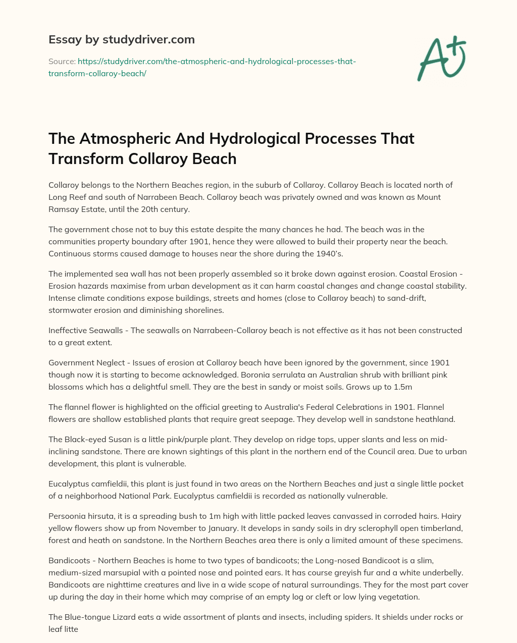 The Atmospheric and Hydrological Processes that Transform Collaroy Beach essay
