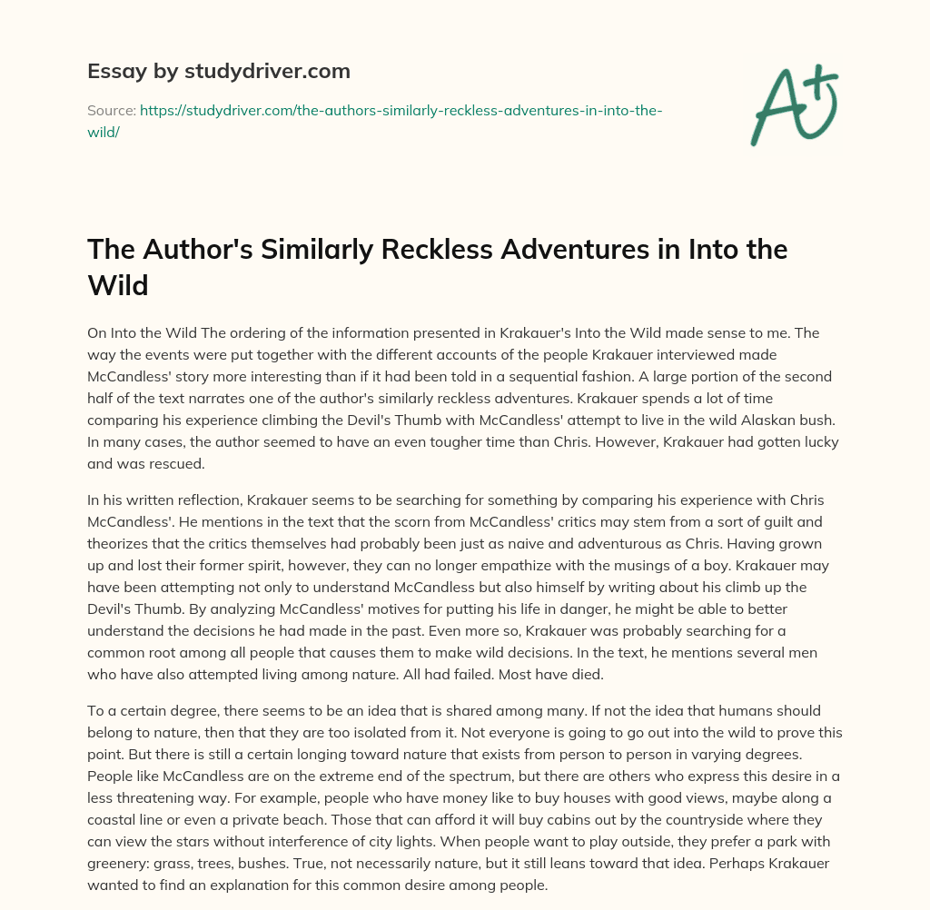 The Author’s Similarly Reckless Adventures in into the Wild essay