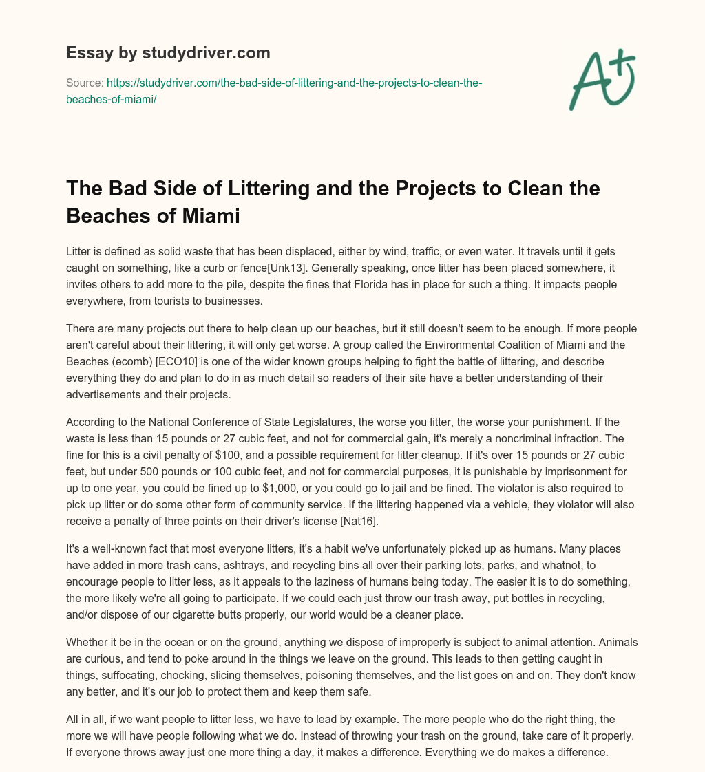 The Bad Side of Littering and the Projects to Clean the Beaches of Miami essay