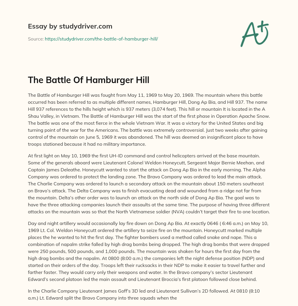 The Battle of Hamburger Hill essay