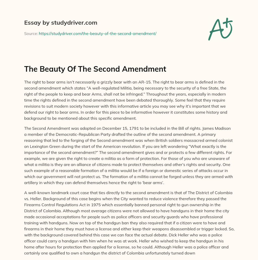 The Beauty of the Second Amendment essay
