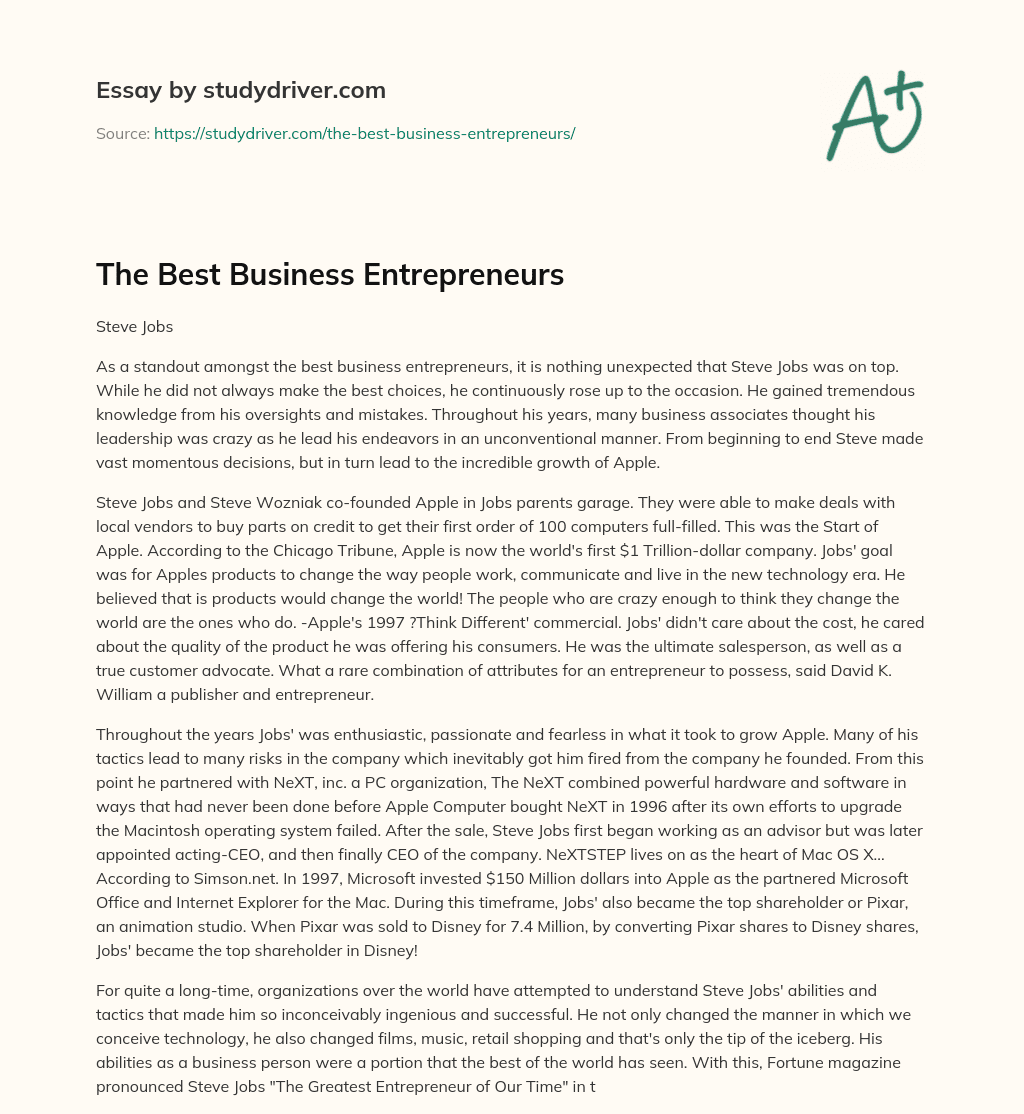 The Best Business Entrepreneurs essay