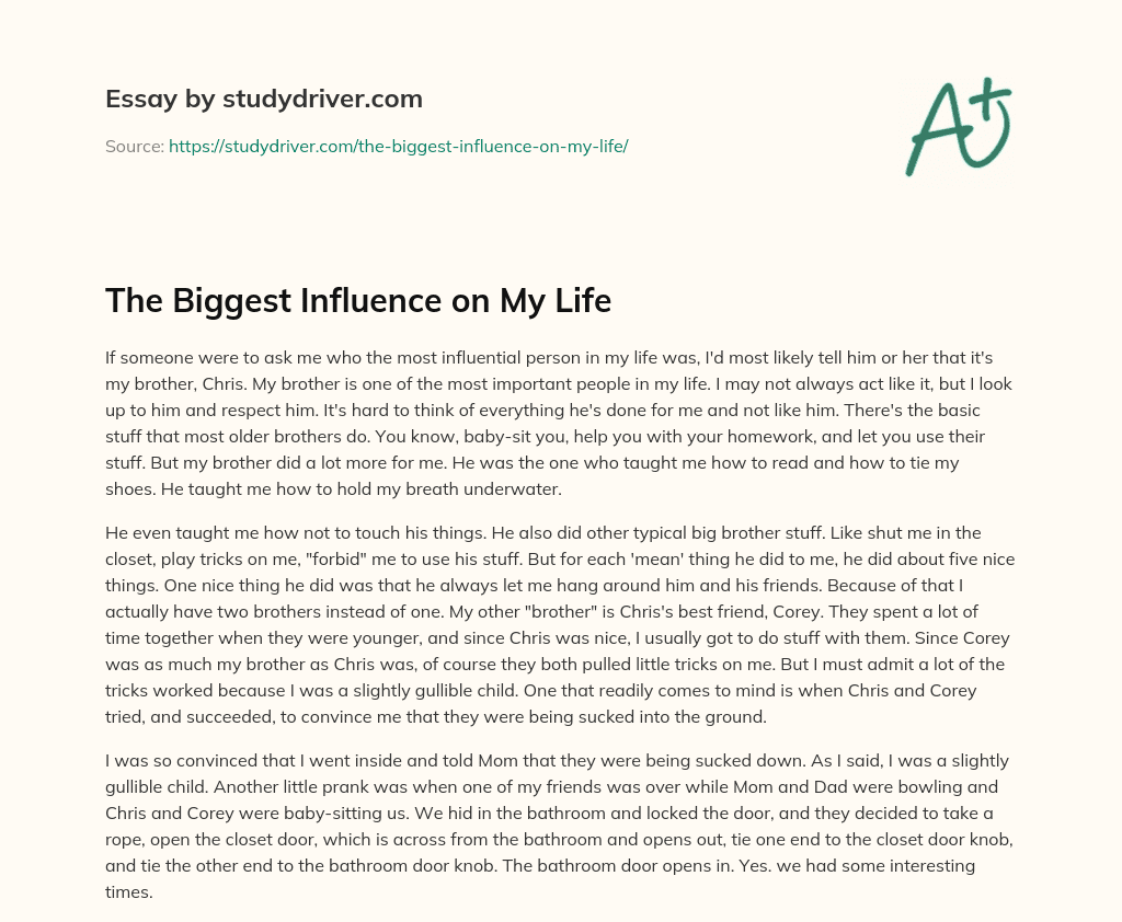 The Biggest Influence on my Life essay