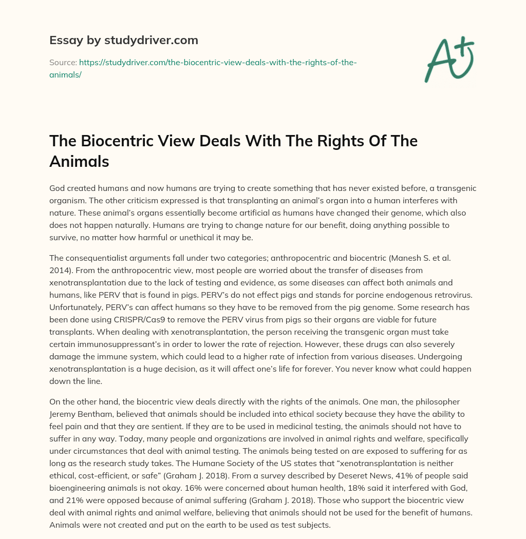 The Biocentric View Deals with the Rights of the Animals essay