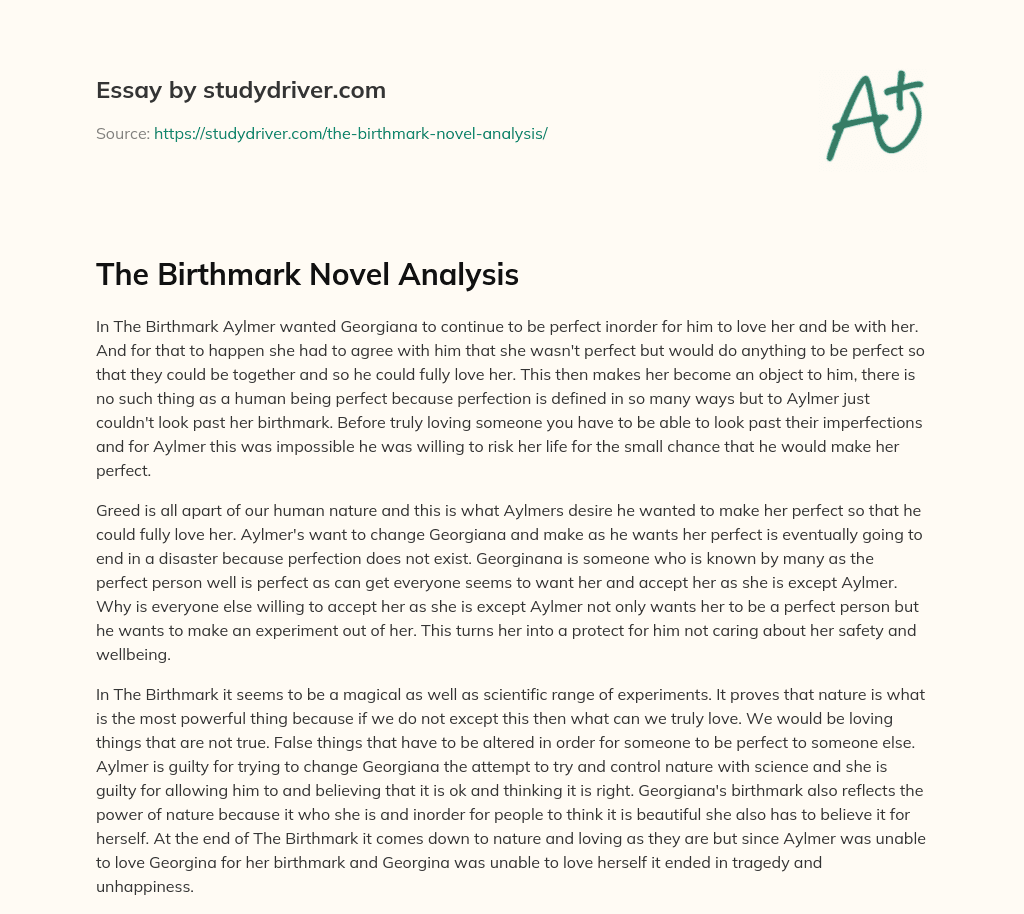The Birthmark Novel Analysis essay