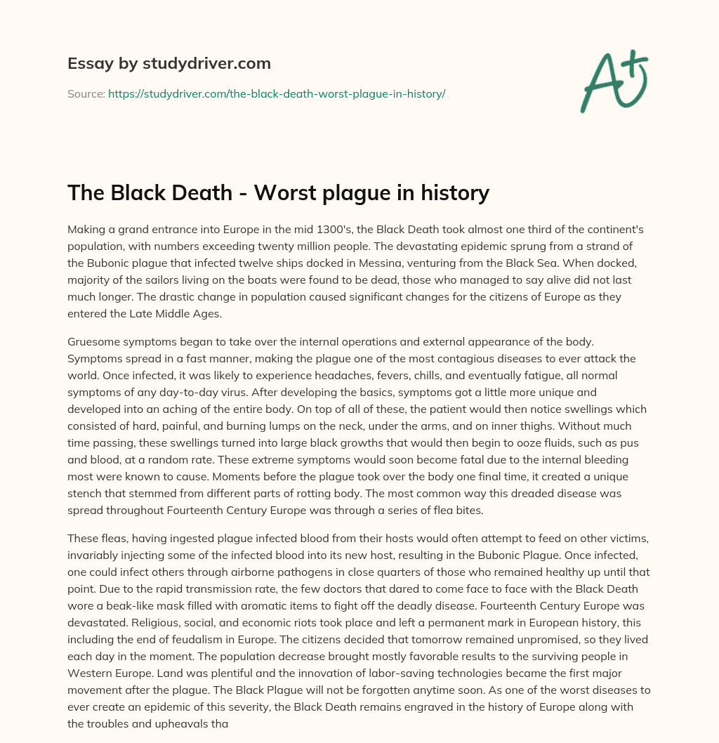 The Black Death – Worst Plague in History essay
