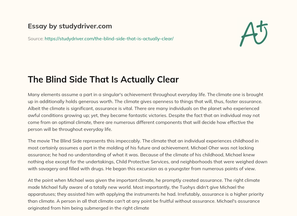 The Blind Side that is Actually Clear essay
