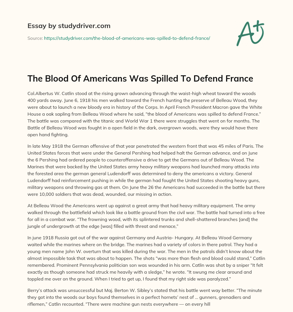 The Blood of Americans was Spilled to Defend France essay