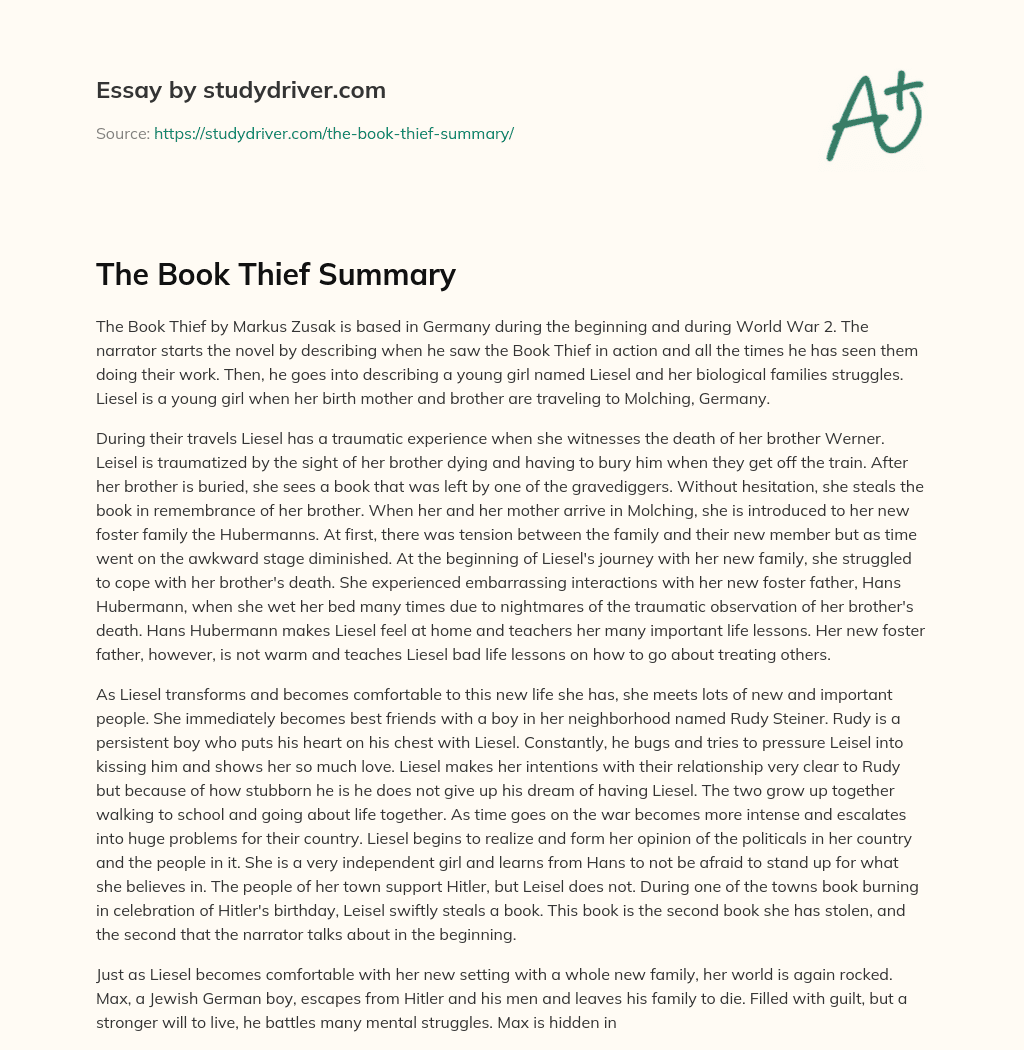 The Book Thief Summary essay