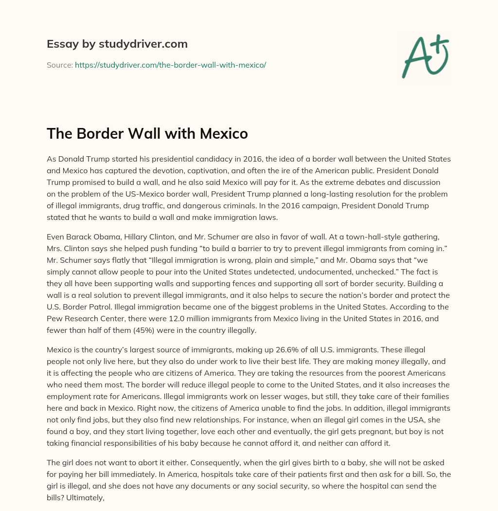 The Border Wall with Mexico essay
