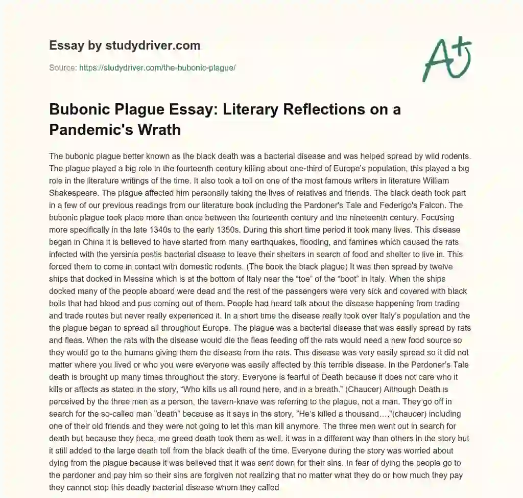 The Bubonic Plague essay