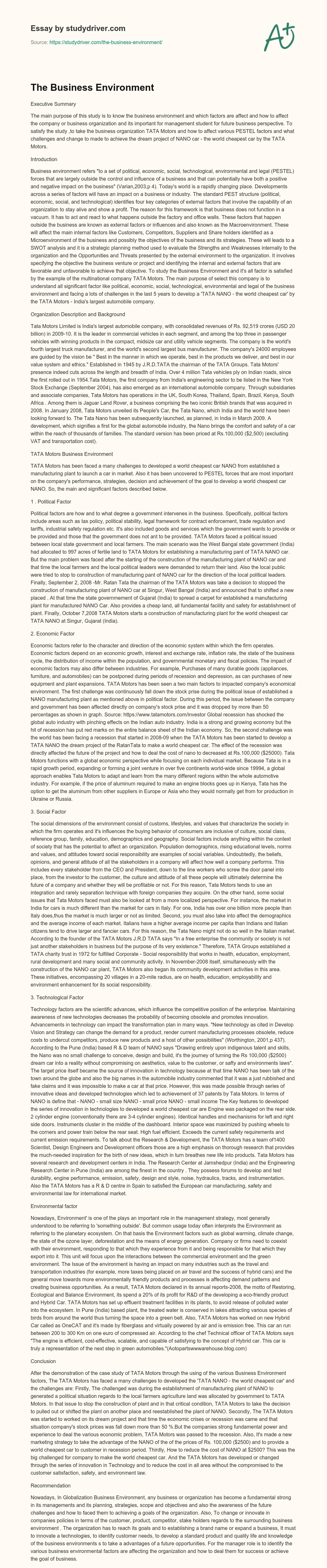 The Business Environment essay