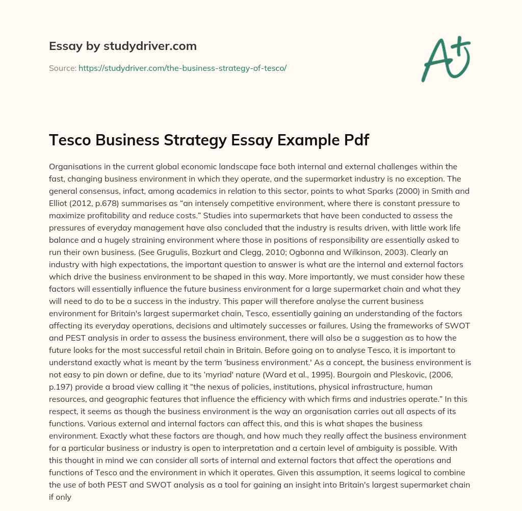 Tesco Business Strategy  Essay Example Pdf essay