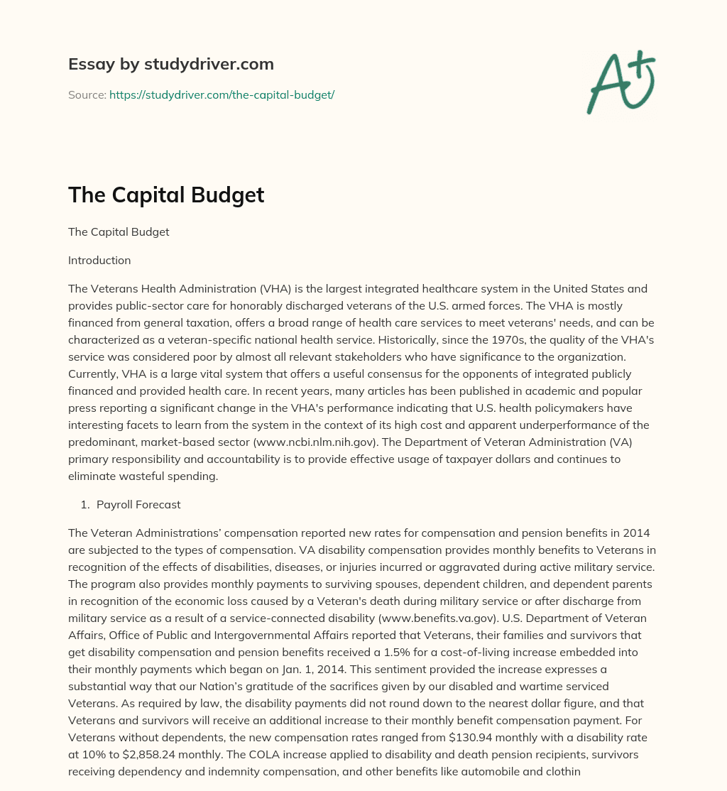 The Capital Budget essay