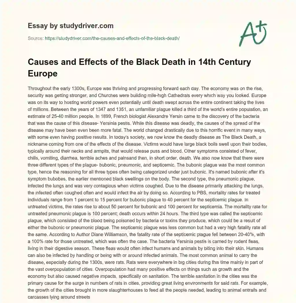 The Causes and Effects of the Black Death essay