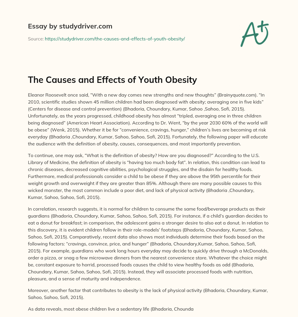 The Causes and Effects of Youth Obesity essay