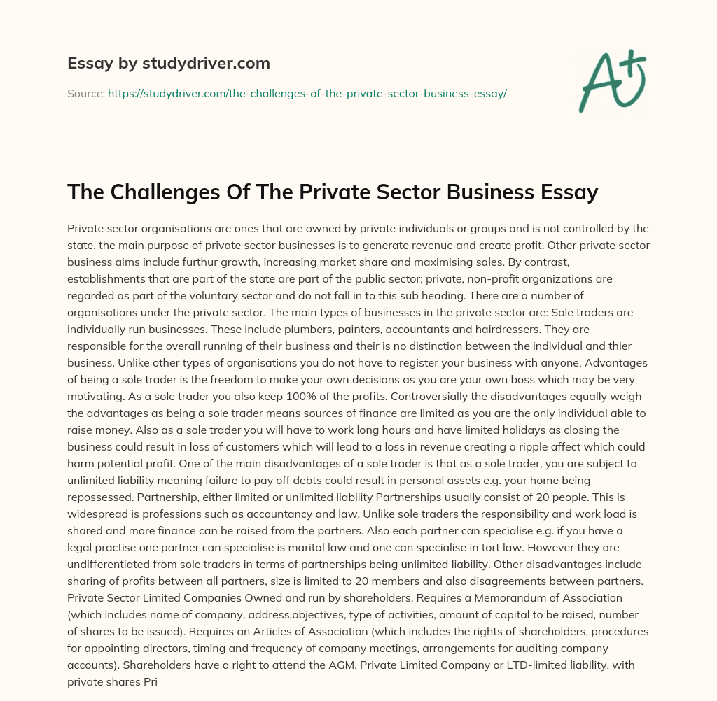 The Challenges of the Private Sector Business Essay essay