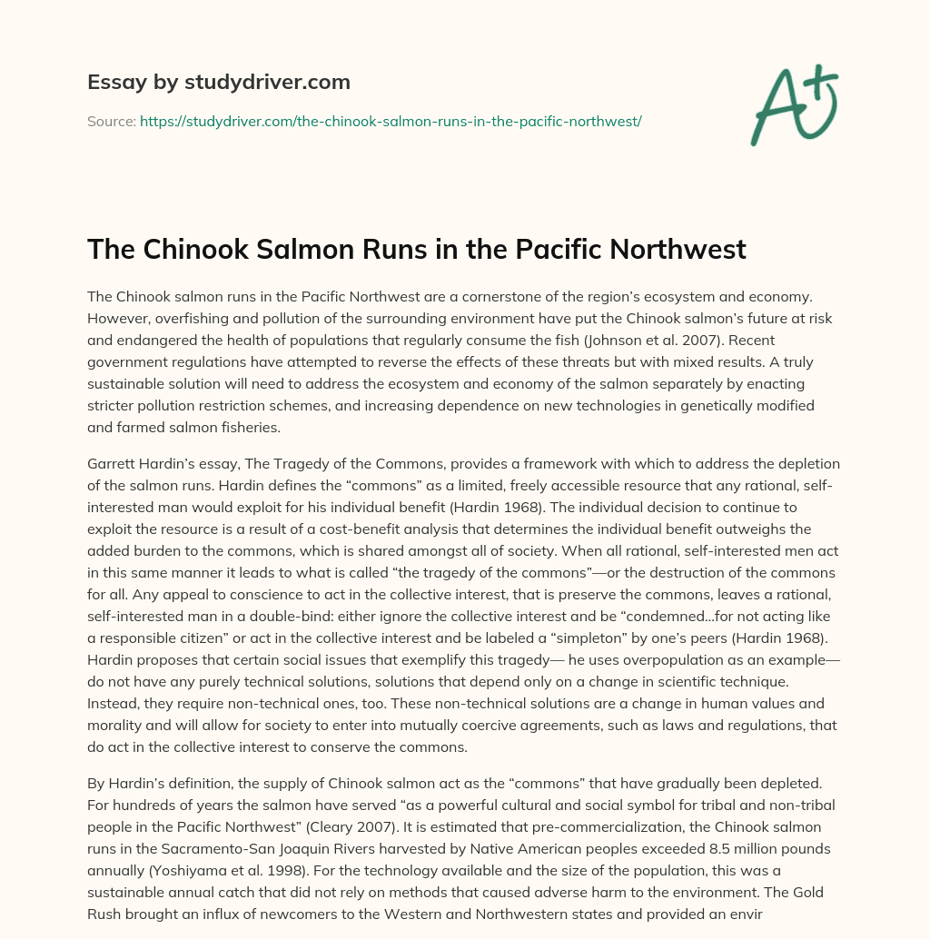 The Chinook Salmon Runs in the Pacific Northwest essay