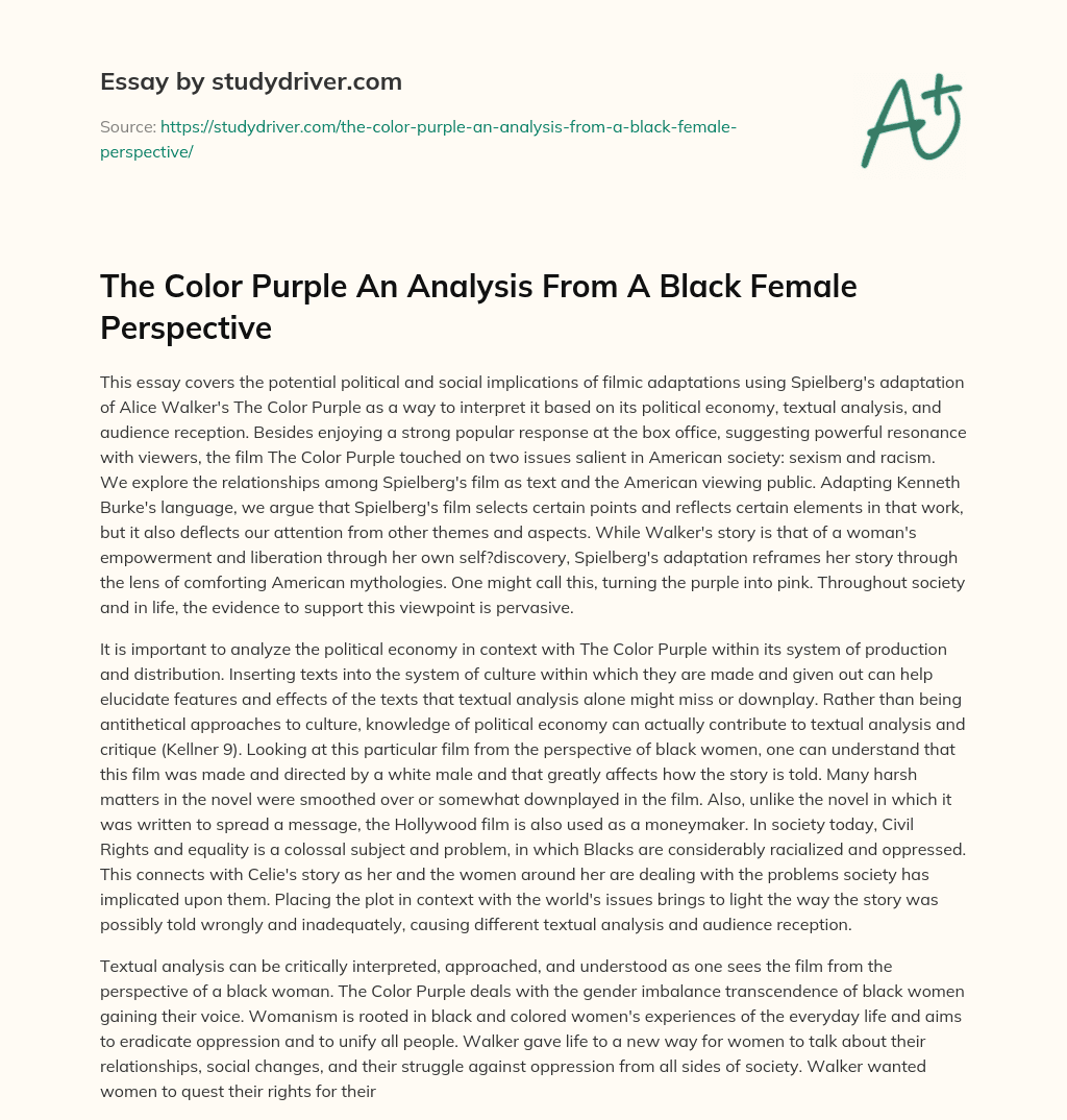 The Color Purple an Analysis from a Black Female Perspective essay