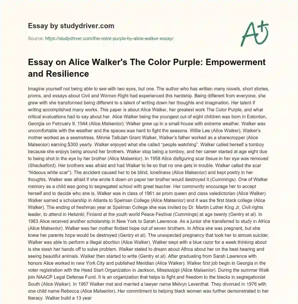 The Color Purple by Alice Walker Essay essay