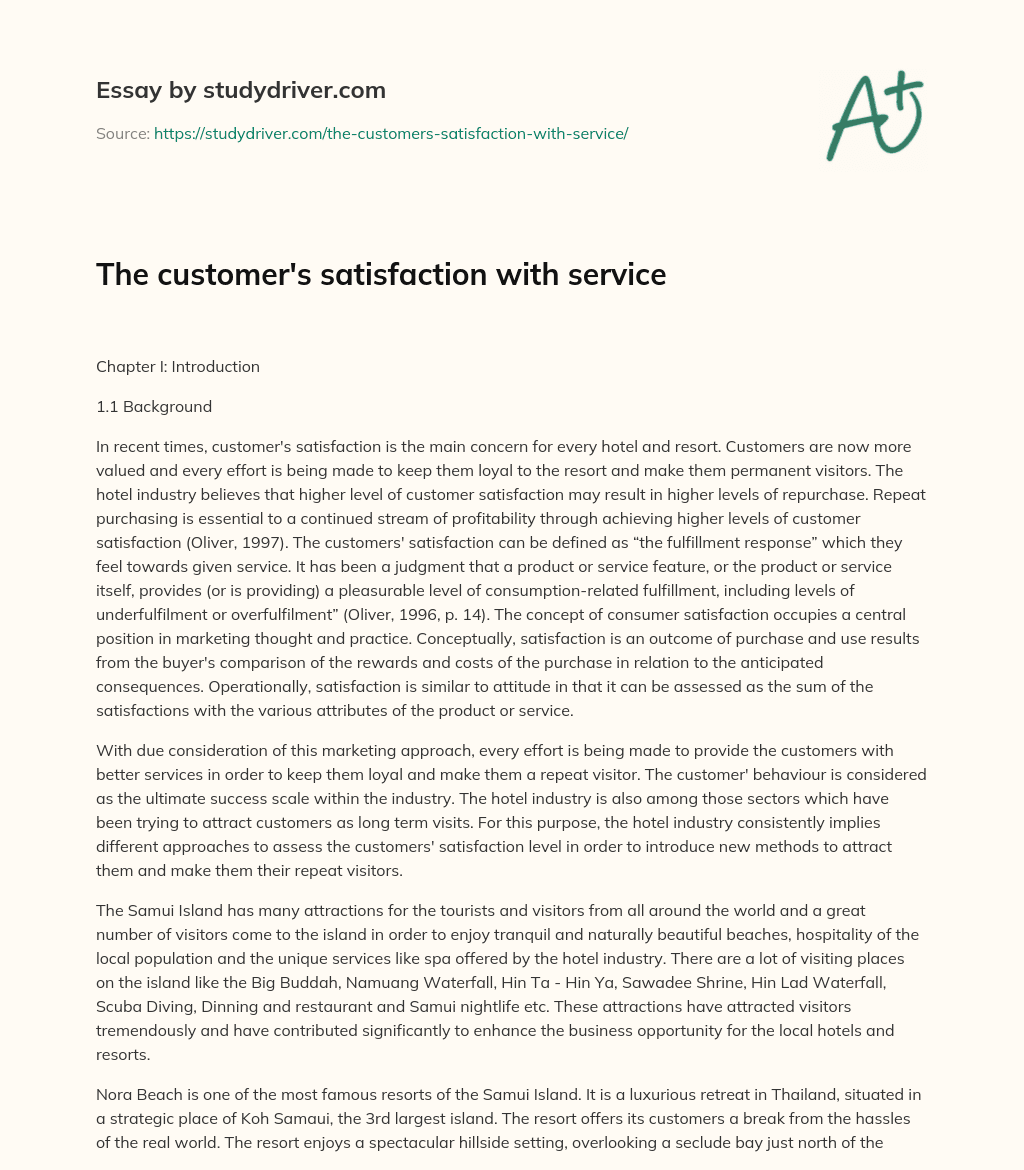 The Customer’s Satisfaction with Service essay