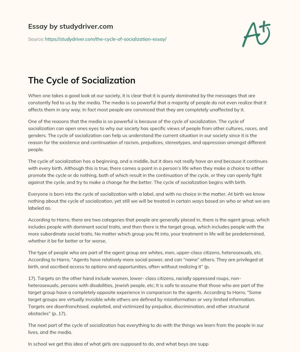 The Cycle of Socialization essay