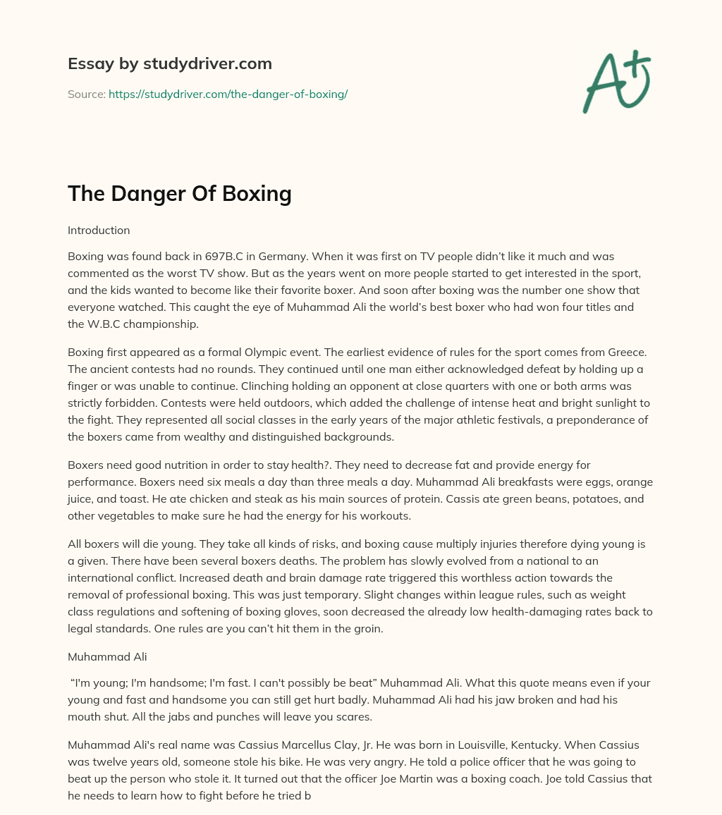The Danger of Boxing essay
